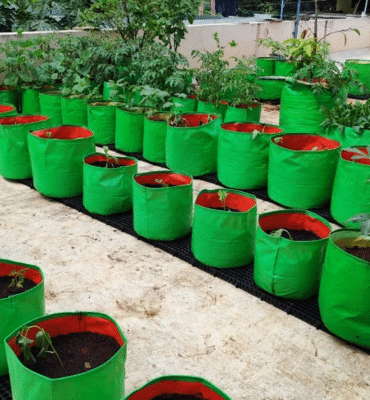 GROW BAGS 4.5Kgs 1.5mm